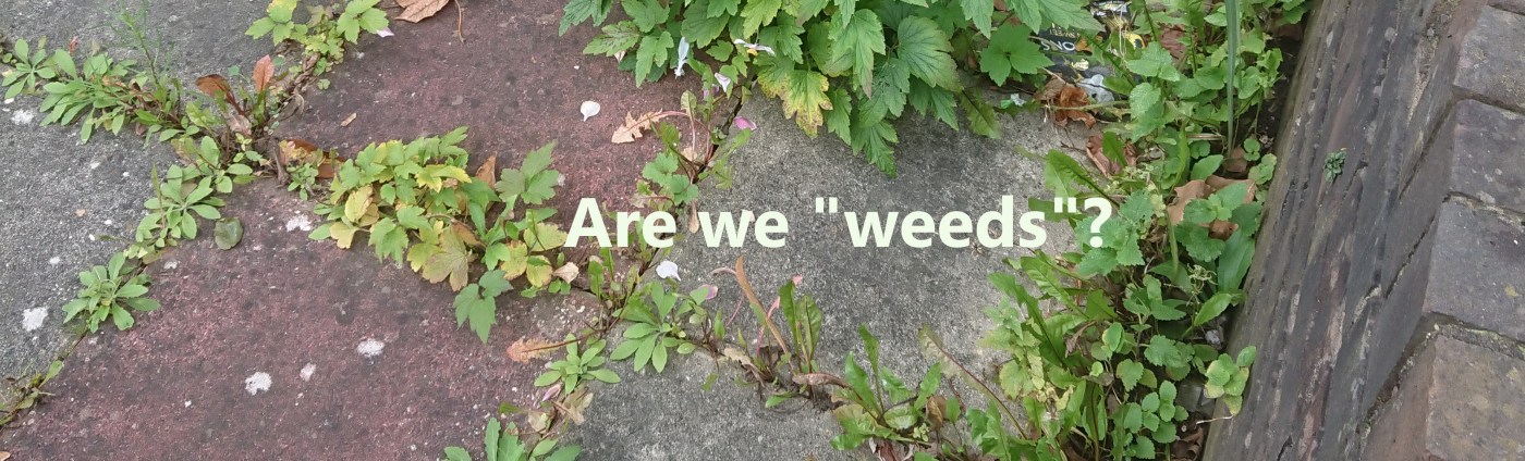 More Than Weeds